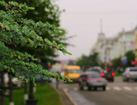 Мой любимый город