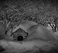 Городской жилфонд.