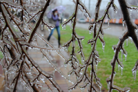 Ледниковый период 4.