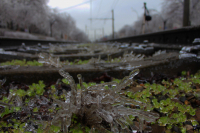 Ледниковый период 6.