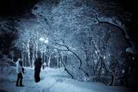 Ласковый вечер