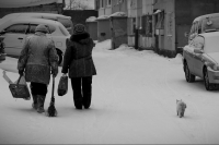 Пойду с ними,может погреюсь!