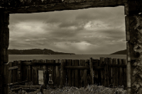 "..из нашего окна.."