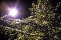 Фонари ночного Магадана