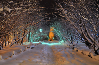 где же ты снег...?