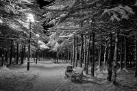 Снежный  октябрь