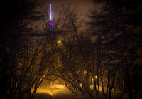 прогуливаясь вечером