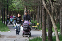 Аллея счастья