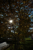 В Магадане осень....