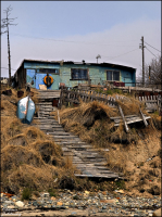 Жили-были у моря старик со старухой...