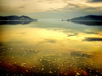 безмятеЖносТЬ