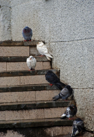 Каждому свое........