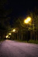 парк Болдырева