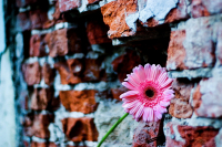 ...девушкам галереи посвящается