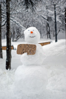 Я люблю весну