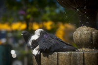 Лето - это маленькая жизнь 2