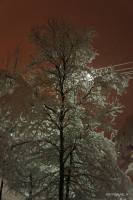 * посеребрило *