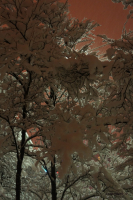 *хитросплетение*