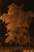 *когда идет снег...*