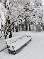 Спокойствие