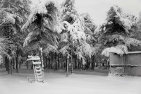 В зимнем царстве покой и уют...