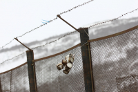 ..свободу.! в японию хотим.!.)