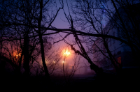 Вечерний туман