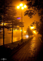 Ночь, туман, огни