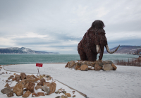 В первый день снега...