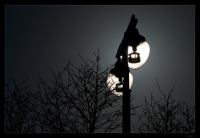 настроение..