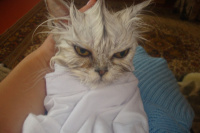 ПОСЛЕ БАНЬКИ