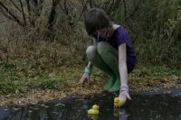 добавь осени красок! ;)