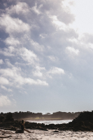 И только лёгкий ветерок