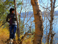 Осень - прекрасная пора