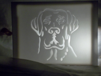 Серьезный пес