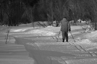 о лыжных прогулках...