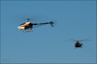 Брат Большой и брат Младшой