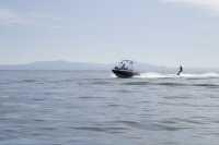 вейкбординг