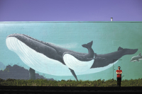 В поисках китов