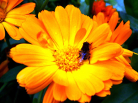 Последний кусочек лета