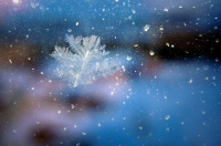 снежинка на окне.