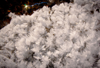 подарки весны