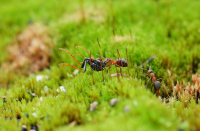 Макрозапчасти