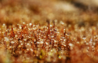 ه ه ه ه ه ه ه