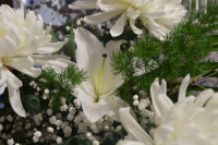 Букет цветов