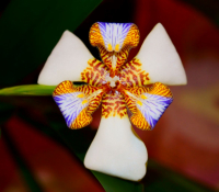 С праздником!!!