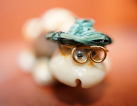 Морская черепашка...