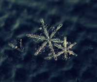 *Весенняя снежинка*