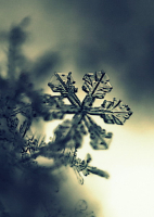 Еще одна сегодняшняя