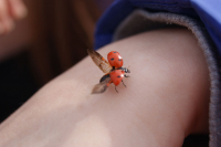 Нежные руки девушки